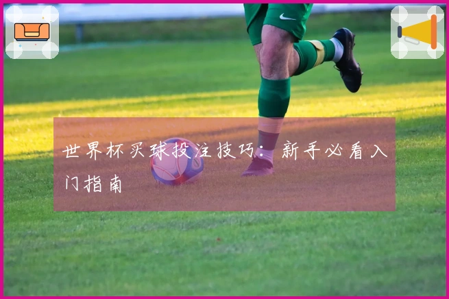 世界杯买球投注技巧：新手必看入门指南