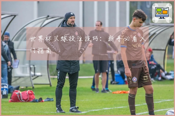 世界杯买球投注技巧：新手必看入门指南