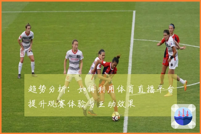 趋势分析：如何利用体育直播平台提升观赛体验与互动效果