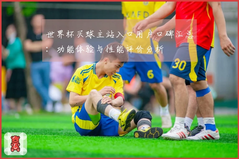 世界杯买球主站入口用户口碑汇总：功能体验与性能评价分析
