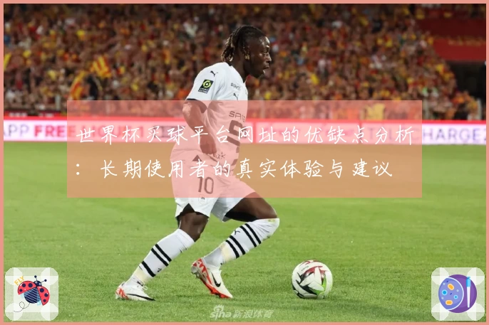 世界杯买球平台网址的优缺点分析：长期使用者的真实体验与建议
