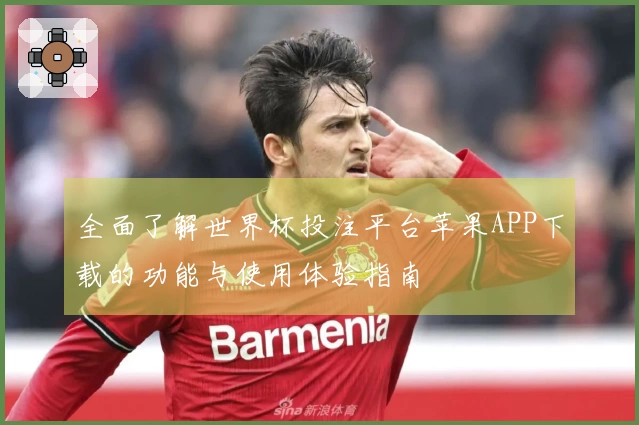 全面了解世界杯投注平台苹果APP下载的功能与使用体验指南