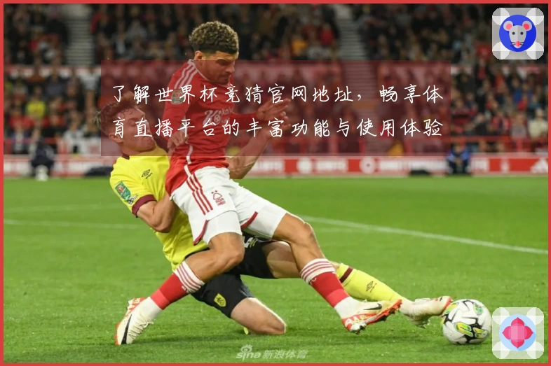 了解世界杯竞猜官网地址，畅享体育直播平台的丰富功能与使用体验