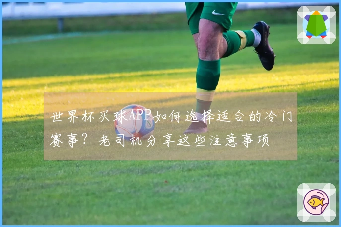 世界杯买球APP如何选择适合的冷门赛事？老司机分享这些注意事项